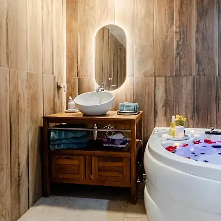 Grande Maison Cosy 20 Min Paris 萨尔塞勒